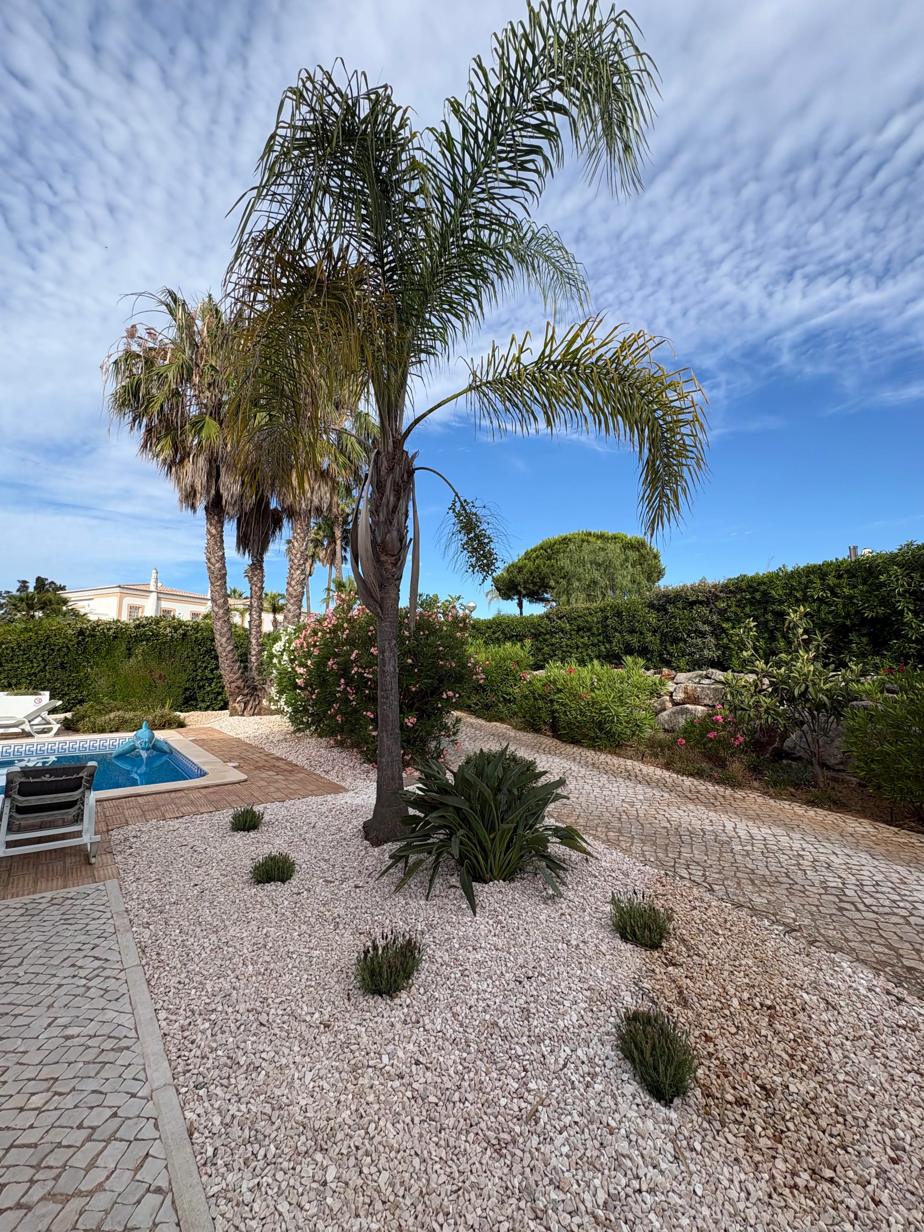 Landscaped gargen