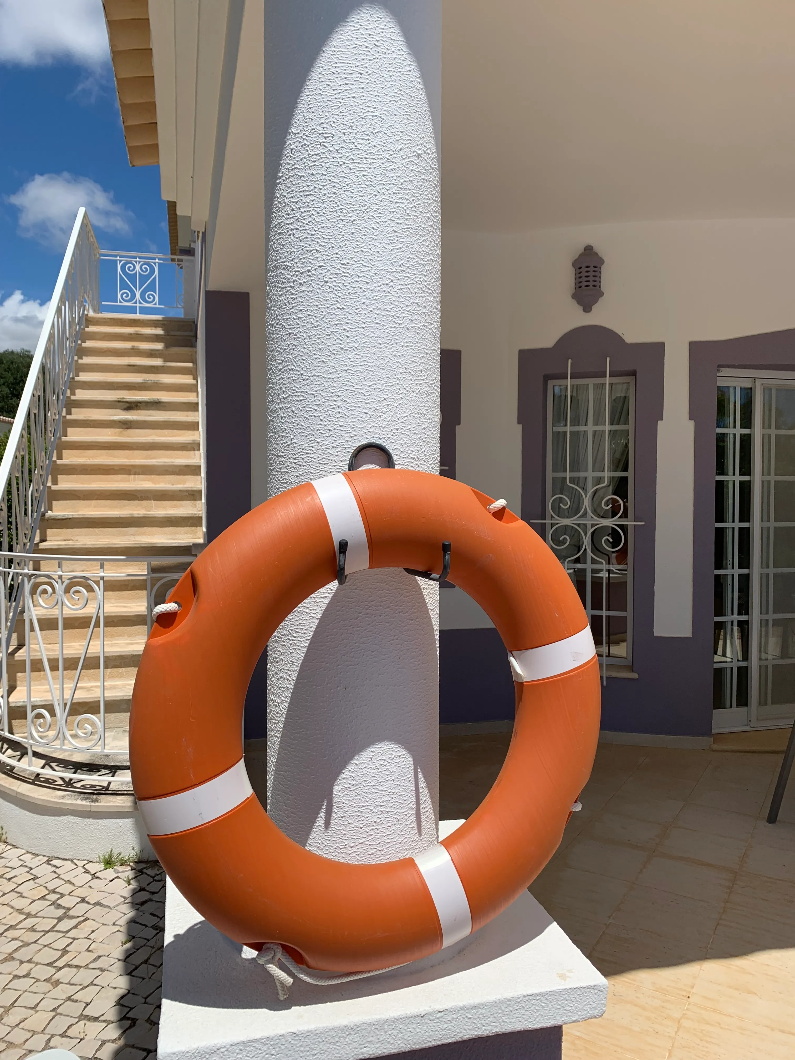 The pool - life ring buoy